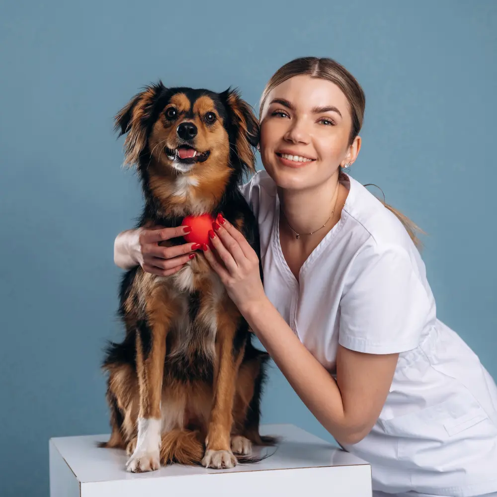 Pet and vet business categories show the best veterinary and pet care services near you.