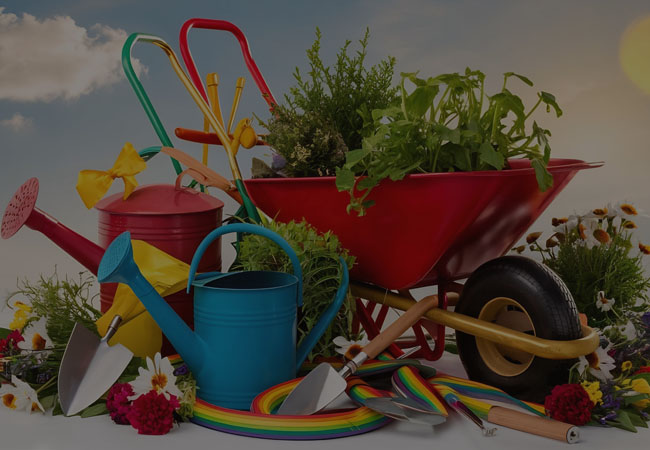 Household garden accessories are easy to find on our business categories platform.